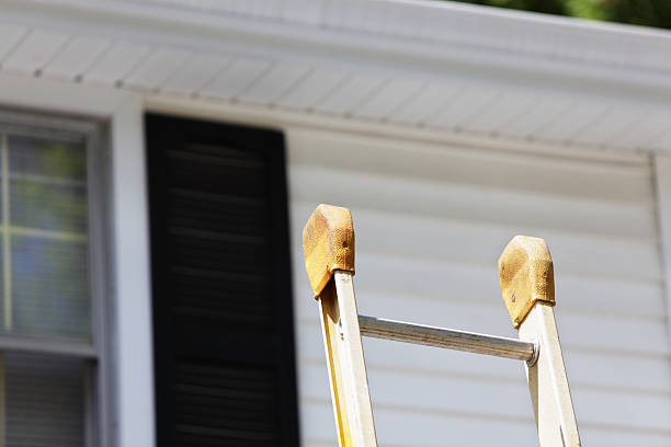 Best Vinyl Siding Installation  in Laughlin Af, TX